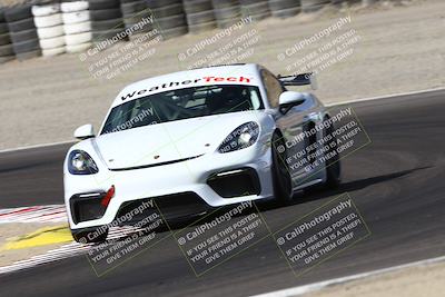 media/Aug-23-2024-Speed Ventures (Fri) [[92f1efc5e7]]/Green/Session 1 (Turn 3)/